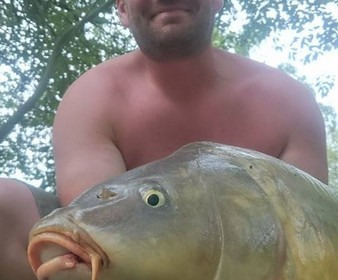 A 23 lb carp from Lillybelle, Paul Hooker, Jul 2016