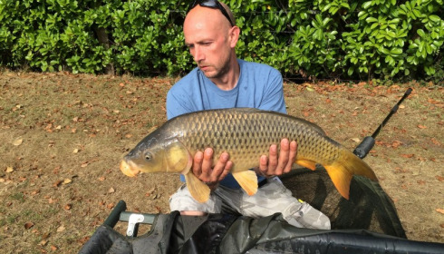 A carp from Lillybelle, Ceri Jones, Aug 2015