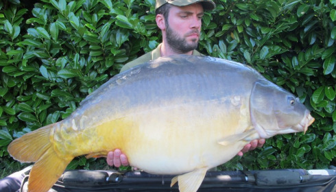 A 41 lb 10 oz carp from Lillybelle, Steve Juggins, Jul 2016