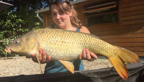 A carp from Lillybelle, Rebecca Long, Jul 2016