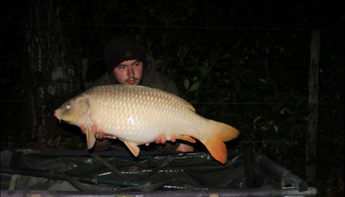 A carp from Lillybelle, Liam Payne, Aug 2018