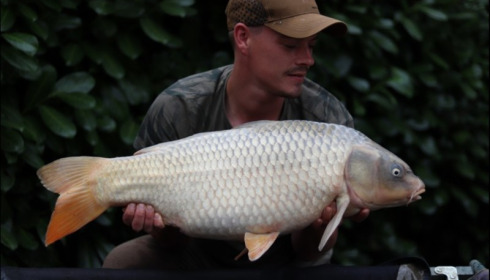 A 24 lb carp from Lillybelle, Quinton Matthews, Aug 2018