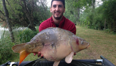 A 20 lb carp from Lillybelle, Michael Ling, Jul 2016