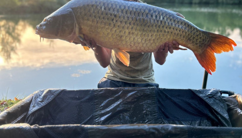 A 43 lb fish from Lillybelle, Ricky, Jul 2023
