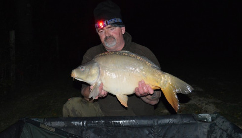 A carp from Lillybelle, David Tomkinson, Oct 2015
