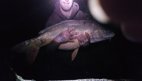 A 25 lb 8 oz carp from Lillybelle, Kevin Bellis, Apr 2017