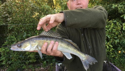 A fish from Lillybelle, Kevin Gordon, May 2018