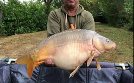 A 27 lb 14 oz carp from Lillybelle, Steve Easton, Sep 2018