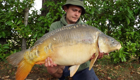 A carp from Lillybelle, Ben Parker, Sep 2017