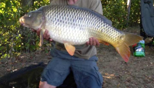 A carp from Lillybelle, Kev Holbrook, Sep 2014