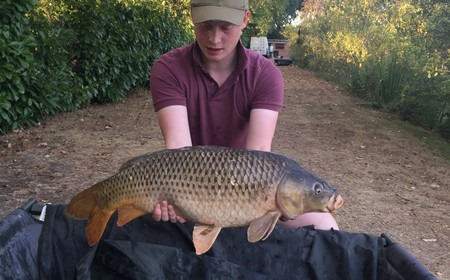 A carp from Lillybelle, Ryan Plant, Sep 2016