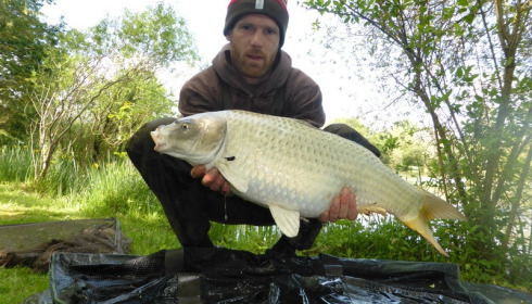 A carp from Lillybelle, Tim Johnson, May 2016