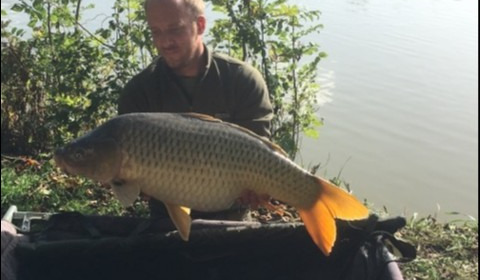 A 33 lb 8 oz carp from Lillybelle, James Harrowven, Oct 2019