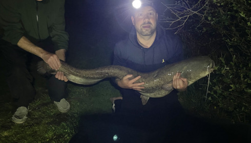 A carp from Lillybelle, May 2023