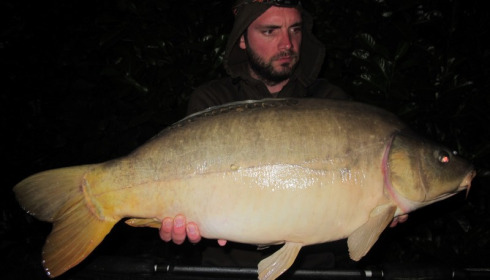 A 23 lb 6 oz carp from Lillybelle, Steve Juggins, Jul 2016