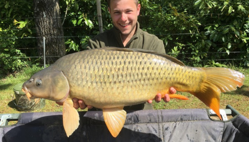 A carp from Lillybelle, Sam Vernon, Apr 2017