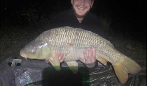 A 25 lb 5 oz carp from Lillybelle, Chris Bell, Sep 2019