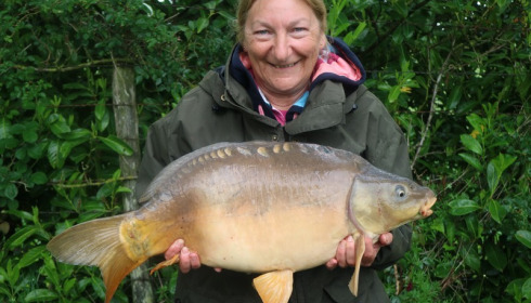 A carp from Lillybelle, Ann Burnhope, May 2017