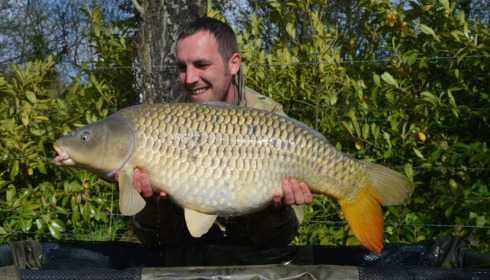 A 31 lb 8 oz carp from Lillybelle, Tom Berrisford, Apr 2016