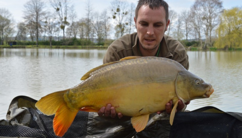 A 20 lb carp from Lillybelle, Tom Berrisford, Apr 2016