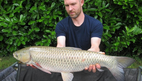 A grass carp from Lillybelle, Greg Harrison, Jul 2016