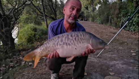 A carp from Lillybelle, Martin Ostler, Sep 2018