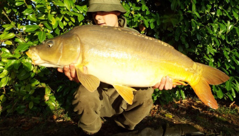 A carp from Lillybelle, Ben Parker, Sep 2017