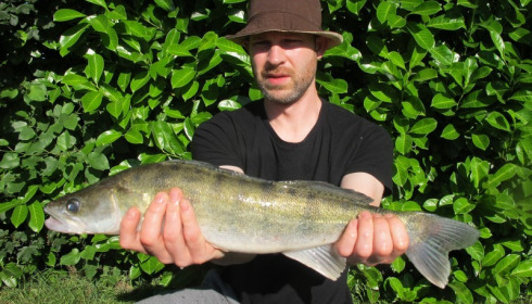 A fish from Lillybelle, Greg Harrison, Jul 2016