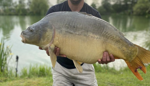 A 36 lb 12 oz fish from Lillybelle, Brad Ayton-Smith, May 2023