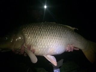 A 22 lb 4 oz carp from Lillybelle, Eddie Hudson, Oct 2014