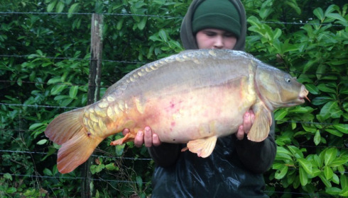 A 24 lb carp from Lillybelle, Jordan Cope, Sep 2017