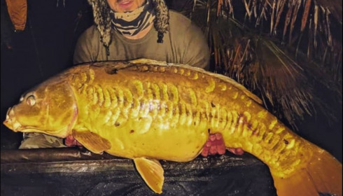 A 29 lb carp from Lillybelle, Nathan Abbott, Apr 2019