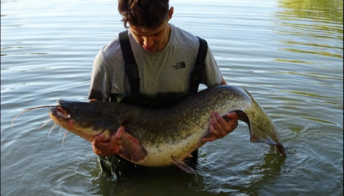 A 42 lb 8 oz carp from Lillybelle, Wes Bolt, Sep 2018
