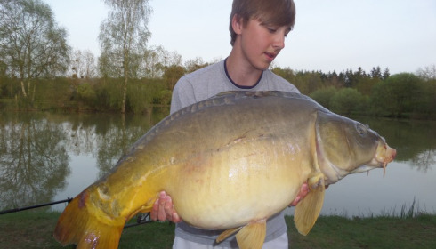A 33 lb 6 oz carp from Lillybelle, Ollie Charters, Apr 2015