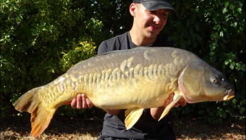 A 25 lb carp from Lillybelle, Wes Bolt, Sep 2018