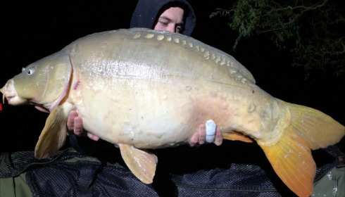 A 31 lb carp from Lillybelle, Cameron Jones, Oct 2019