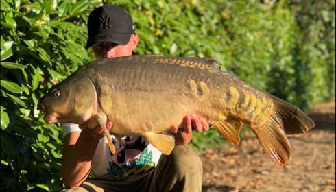 A 22 lb 8 oz carp from Lillybelle, Owen Edwards, Sep 2018