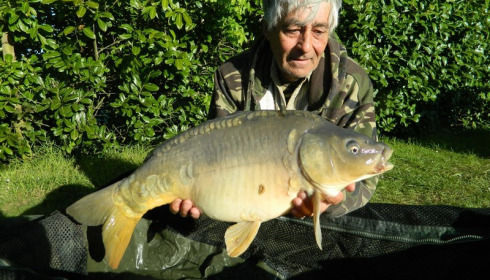 A carp from Lillybelle, Ian Colyer, May 2016
