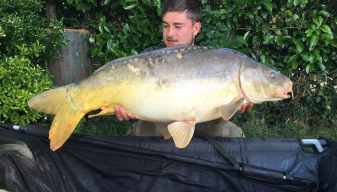 A carp from Lillybelle, Tim Hicks, Jul 2016