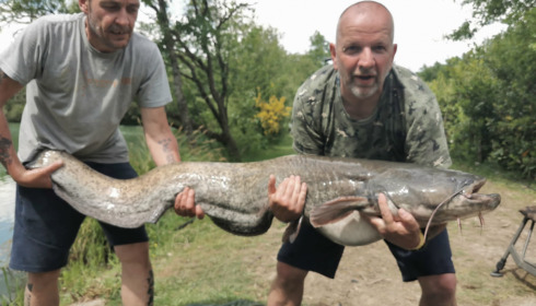A 49 lb fish from Lillybelle, Petes Catfish, May 2022