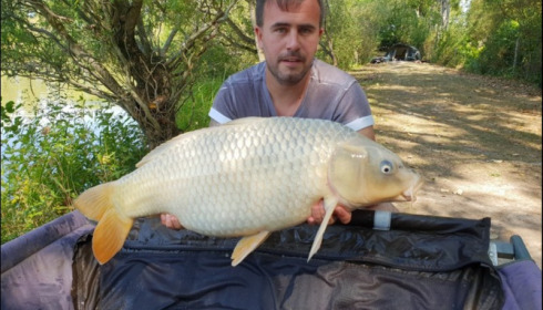 A 20 lb carp from Lillybelle, Jason Ostler, Sep 2018