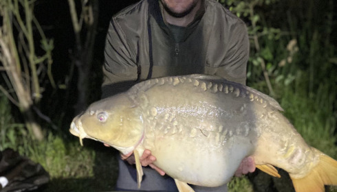A 25 lb carp from Lillybelle, Brad, May 2023