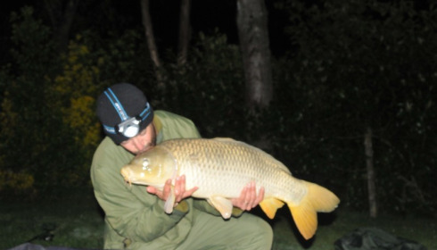 A carp from Lillybelle, Simmo, Apr 2017