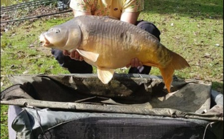 A 30 lb 14 oz carp from Lillypool, Ben Mason, Oct 2019