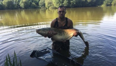 A 61 lb 10 oz catfish from Lillypool, Jason Polley, Jul 2017