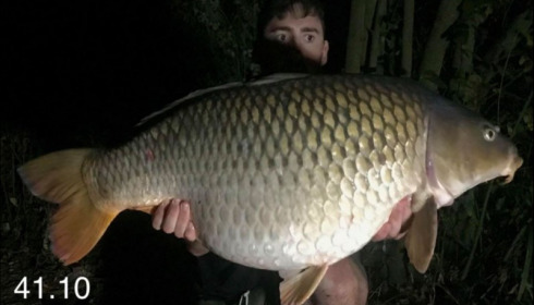 A 41 lb 10 oz carp from Lillypool, Ricky Martin, Sep 2018