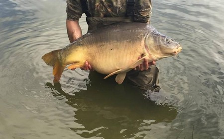 A 35 lb carp from Lillypool, Kenny Moyes, May 2018