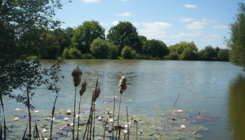 A carp from Lillypool, Nice lake shot by (Alan watson), May 2011