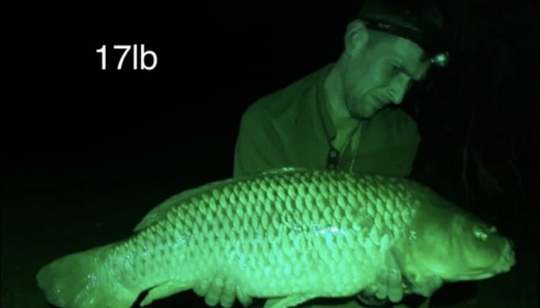 A carp from Lillypool, Chris Waldron, Sep 2019