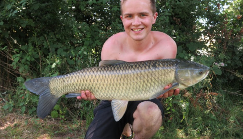 A grass carp from Lillypool, Tom Peach, Jun 2014